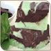 Dark Chocolate Mint Fudge - MOF1019