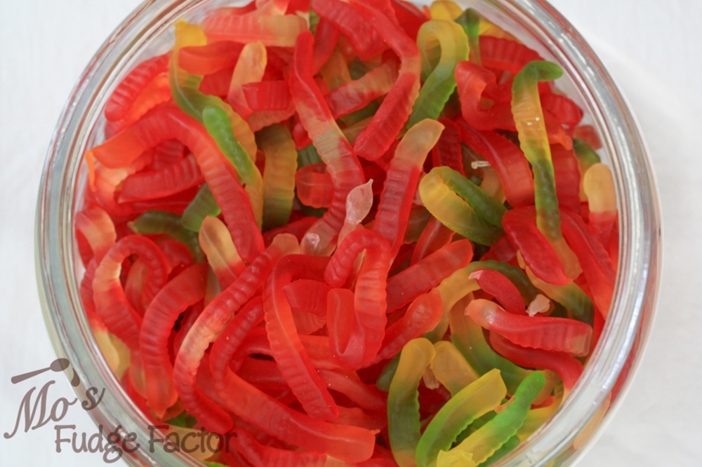 Gummy Worm and Bear Mold - Fante's Kitchen Shop - Since 1906